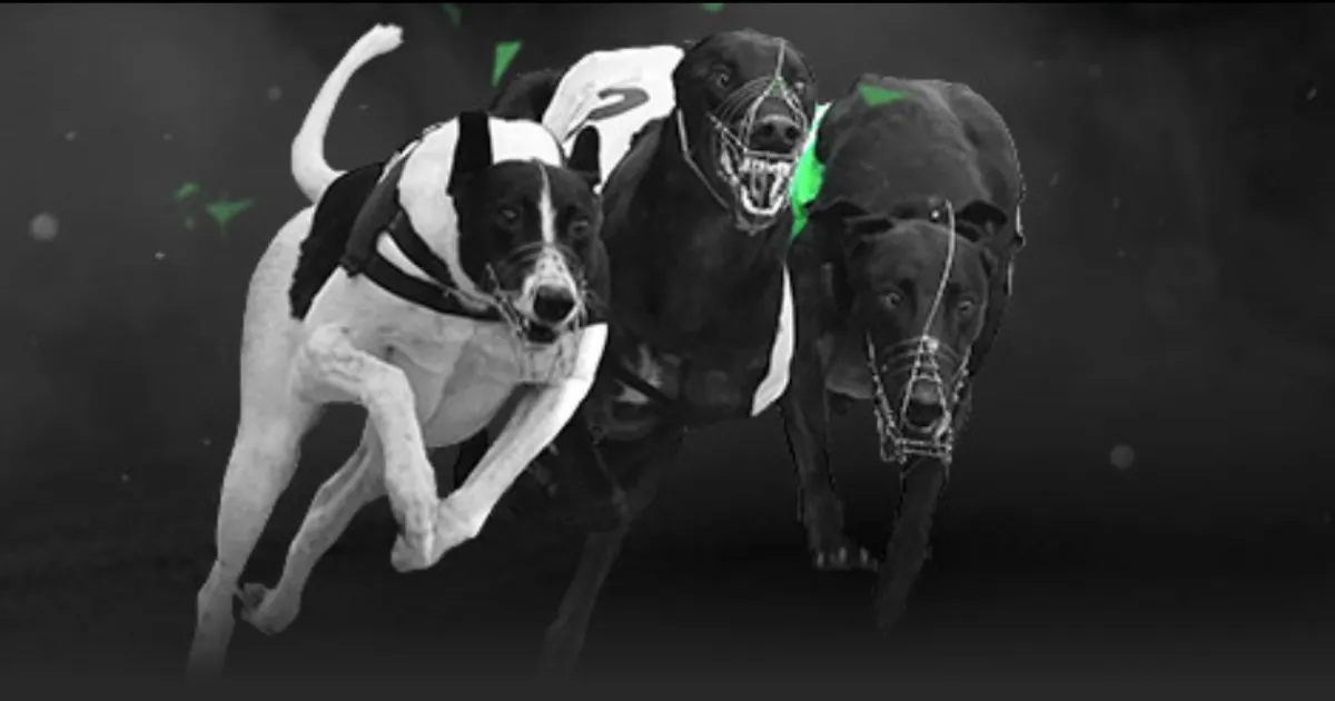 门迭塔直言,药厂战术非,皇马良策,bet365,bet365体育,bet365官网,bet365网址