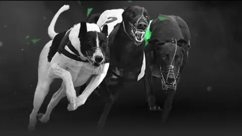 《门迭塔直言：药厂战术非皇马良策，银河战舰仍处转型关键期》