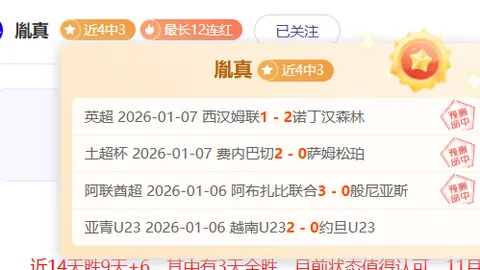 猛龙主场猎狼记：三分狂飙，能否再创佳绩？